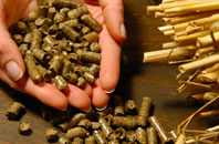 free Burry Green biomass boiler quotes